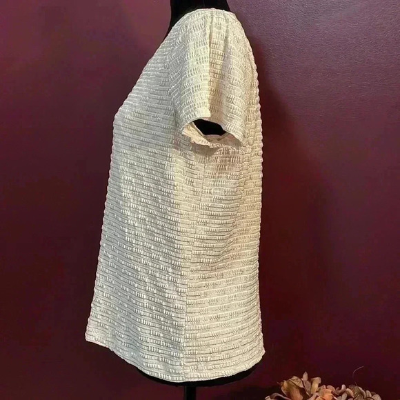 Laura Ashley Petite Medium Tan/Beige Short Sleeve Textured Blouse - Picture 3 of 8